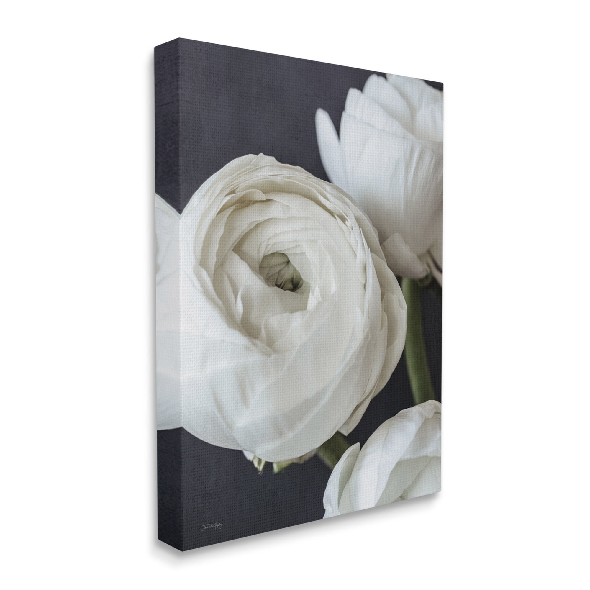 Stupell Industries Budding Ranunculus Flower Blooming Close Up Petals Photograph Gallery Wrapped Canvas Print Wall Art, Design by Jennifer Rigsby