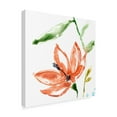 thumbnail image 2 of Trademark Fine Art 'Tropical Display IV' Canvas Art by Jennifer Goldberger, 2 of 4