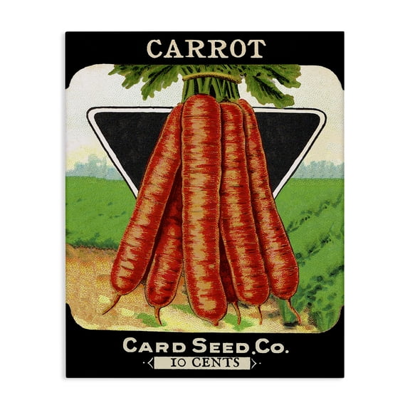 Stupell Industries Cottage Vintage Gardening Carrots Canvas Art, 16 x 20, by Lil' Rue