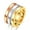 Silver&Gold&Rose Gold, variant on 12MM Rose Gold/Gold/Silver Titanium Steel Band Womens Three in one Rings Sz 6-10