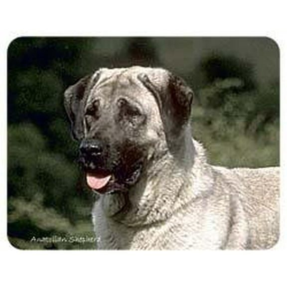 Anatolian Shepherd Coasters