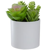 5.5" Mixed Artificial Succulent Arrangement in a White Pot