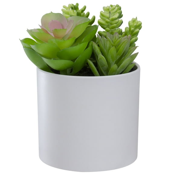 5.5" Mixed Artificial Succulent Arrangement in a White Pot