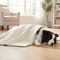 thumbnail image 5 of Cififendec All Season Pet Cooling Blanket, 35"×25", Lightweight Air Conditioner Quilt for Dog Cat Indoor Sofa Bed Summer Cool Sleeping Cover, 5 of 5