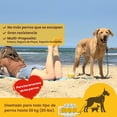 thumbnail image 3 of Estaca para Playa  para Perro Diggo, 3 of 9