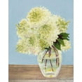 thumbnail image 2 of Miller, Dianne 12x14 Gold Ornate Wood Framed with Double Matting Museum Art Print Titled - Hydrangea Vase II, 2 of 4