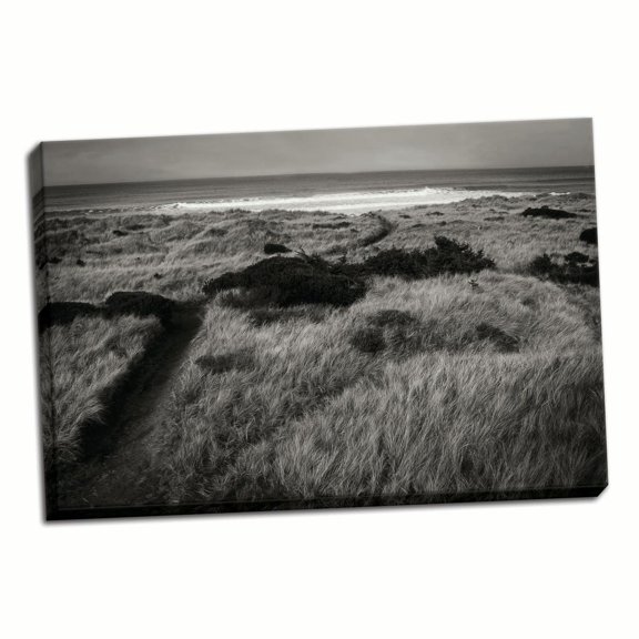 Gango Home Decor Coastal Spirit II by Vitaly Geyman (Ready to Hang); One 36x24in Hand-Stretched Canvas