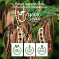 thumbnail image 4 of Organic Way Shikakai Powder (Acacia concinna) - Organic & Kosher Certified | Raw, Vegan, Non GMO & Gluten Free | USDA Certified | Origin - India (1LBS / 16Oz), 4 of 6
