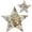 3D Star Bright, variant on Sizzix Ink Transfer Film Sheets 4 x 6 Inches Gold, 5 Sheets