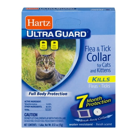 Hartz UltraGuard Flea & Tick Collar for Cats & Kittens, 7 Month (Best Rated Flea And Tick Collars For Dogs)