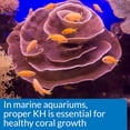 thumbnail image 7 of API KH Carbonate Hardness Test Kit  For Freshwater and Saltwater Fish Aquariums, 7 of 7