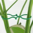 thumbnail image 3 of 200 Pcs Garden Clips Plant Support Clips Twisty Plant Rings for Climbing Plants, 3 of 5