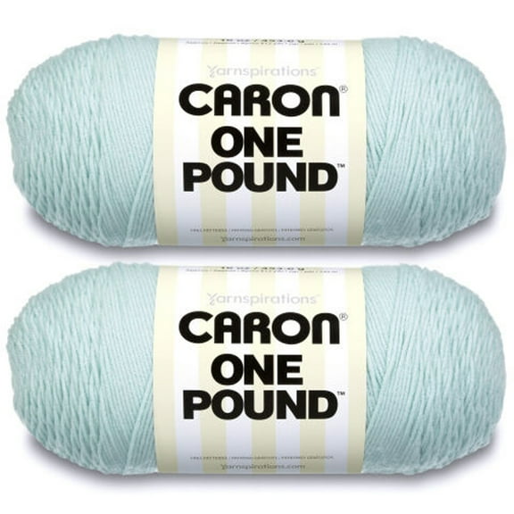 Caron One Pound Pale Green Yarn - 2 Pack of 454g/16oz - Acrylic - 4 Medium (Worsted) - 812 Yards - Knitting/Crochet