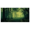 thumbnail image 2 of Green Light in Thick Mist Forest - Landscape Photography Canvas Print, 2 of 3