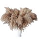 thumbnail image 1 of 30 Stems Dried Pampas Grass,Wild Pampas Grass Fluffy Pampas Floral,17 Inch Bulk Pampas Grass Decor, 1 of 5