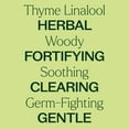 thumbnail image 4 of Plant Therapy Thyme Linalool Essential Oil 30 mL (1 oz) 100% Pure, Undiluted, Natural Aromatherapy, 4 of 9