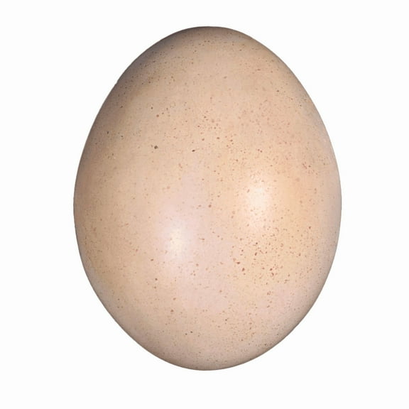 Small Sauropod Dinosaur Egg Life Size Statue