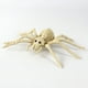 thumbnail image 5 of Decoraciones de Esqueleto de Serpiente y Araña para Halloween | Mini Esqueletos Articulados de Plástico | Decoración Ligera y Reutilizable para Fiestas de Halloween | Cementerio de Casas Embrujadas p, 5 of 5