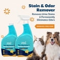 thumbnail image 6 of Kinzua Environmental Urine B-Gone Cleaner, Enzyme Odor Eliminator for Cat & Dog Urine, Laundry & Carpet,32oz, 2-Pack,Citrus Scent, 6 of 9