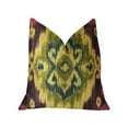 thumbnail image 1 of PBRA2284-2030-DP Plutus Coussin de Luxe Multicolore Destiny, 20 x 30 Po. Queen, 1 of 3