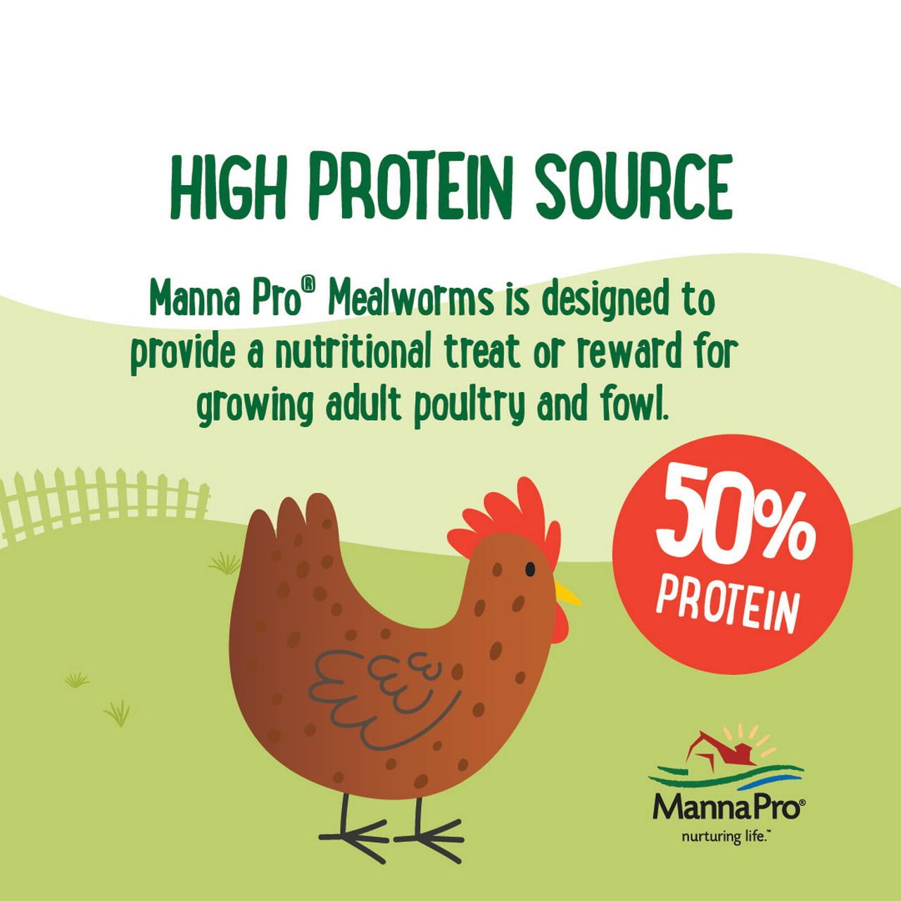 (2 pack) Manna Pro Farmhouse Favorites Mealworms 5lb