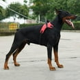 thumbnail image 2 of Durable Dog Harness Medium And Large Dogs Training Harness Explosion-proof Vest Harnesses, 2 of 4