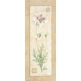 thumbnail image 2 of Pamela Gladding 20x44 Gallery Wrapped Canvas Wall Art Titled - Poppy, 2 of 4