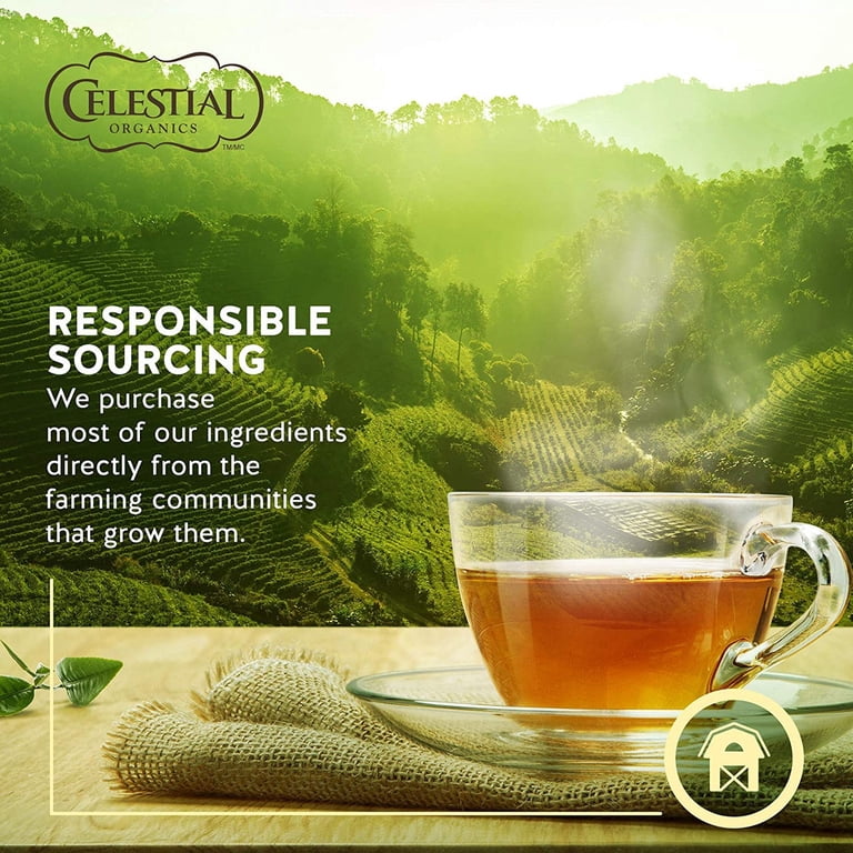 Celestial Seasonings Ginger & Turmeric Organic Herbal Tea, 18 Tea