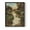 Black, variant on Well Worn Path Framed Print in Blue Solid Wood 8 x 10 Framed Print