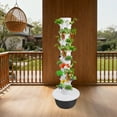 thumbnail image 6 of 165cm Height Growing Tower, 36-Plant Spots Hydroponic Indoor Vertical Garden Kit, Hydroponics Growing Tower, White and Black, for Balconies, Gardens, Farms, and School Laboratories, 6 of 12