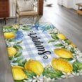 thumbnail image 3 of Summer Lemon Washable Area Rugs 4'x6', Oceans Blue Shells Starfish Flower Blue Plaid Low Pile Throw Living Room Rug Non-Slip Sturdy Edge Binding Carpet for Indoor Entryway Bedside Kitchen, 3 of 9