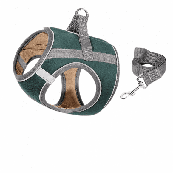 Soft Mesh Dog Harness Puppy Adjustable Pet Vest with Walking Leash for Small Dog Breeds and Cats