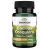 Swanson Bacillus Coagulans (Lactobacillus Sporogenes) - Probiotic Supplement Supporting Digestive Health with 6 Billion CFU - Natural GI Health Support - (60 Veggie Capsules)