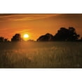 thumbnail image 3 of Podt, Martin 14x11 Black Modern Framed Museum Art Print Titled - Fields of Gold, 3 of 5