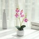 thumbnail image 5 of Planta artificial Bewildely Cerámica Rosa, 5 of 6