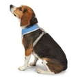 thumbnail image 4 of Cool Pup Step-in Pet Harness, Cooling and Reflective Dog Harness, Light Blue, Medium, 4 of 6