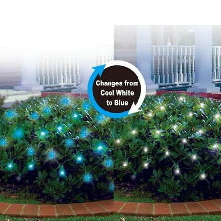 Color Sync M5 Net Lights Set White Wire Cool To Blue 80 Count Color Sync M5 Net Lights Set White Wire Cool To Blue 80 Count