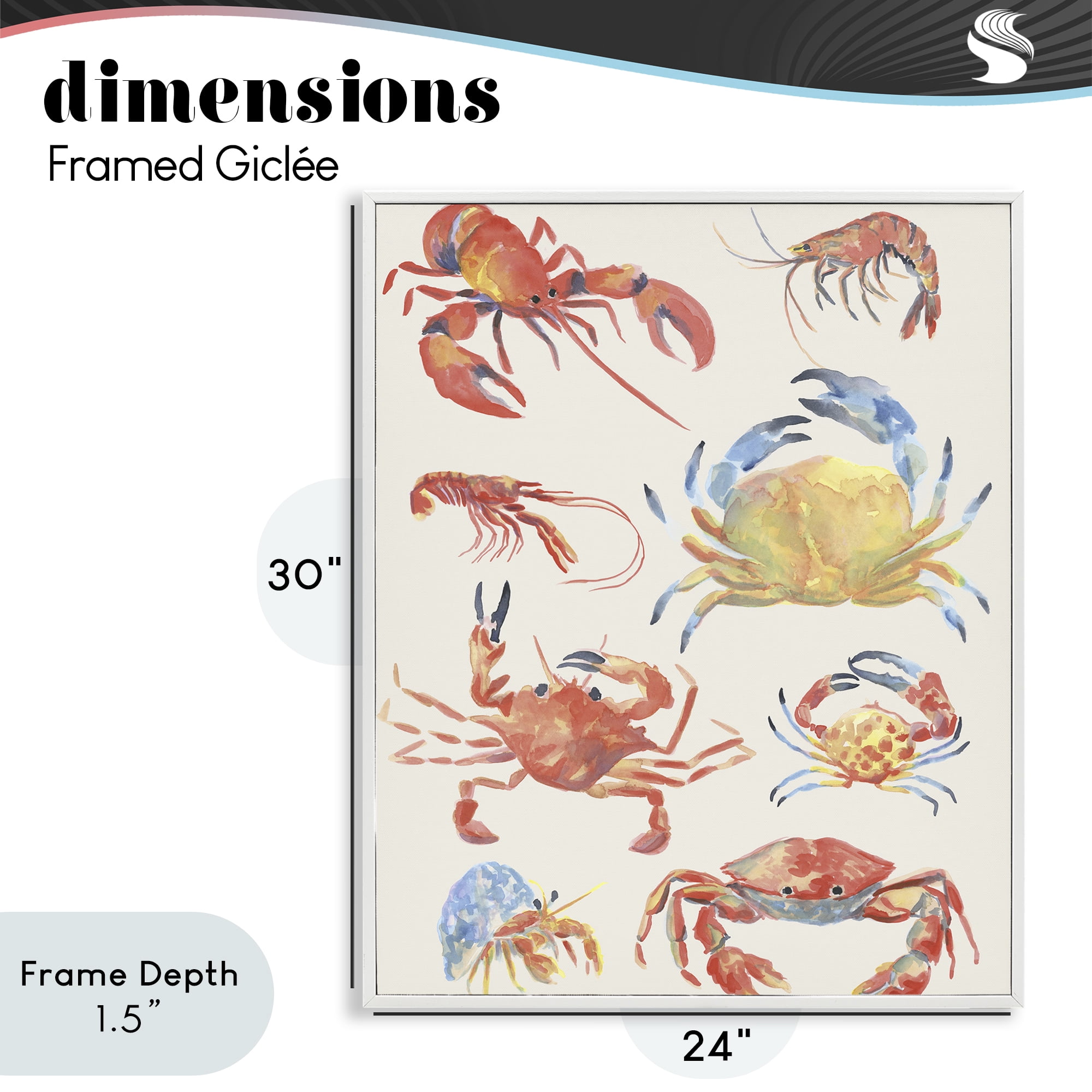 Stupell Industries Crab & Crustacean Collection White Framed Giclee Art, design by June Erica Vess
