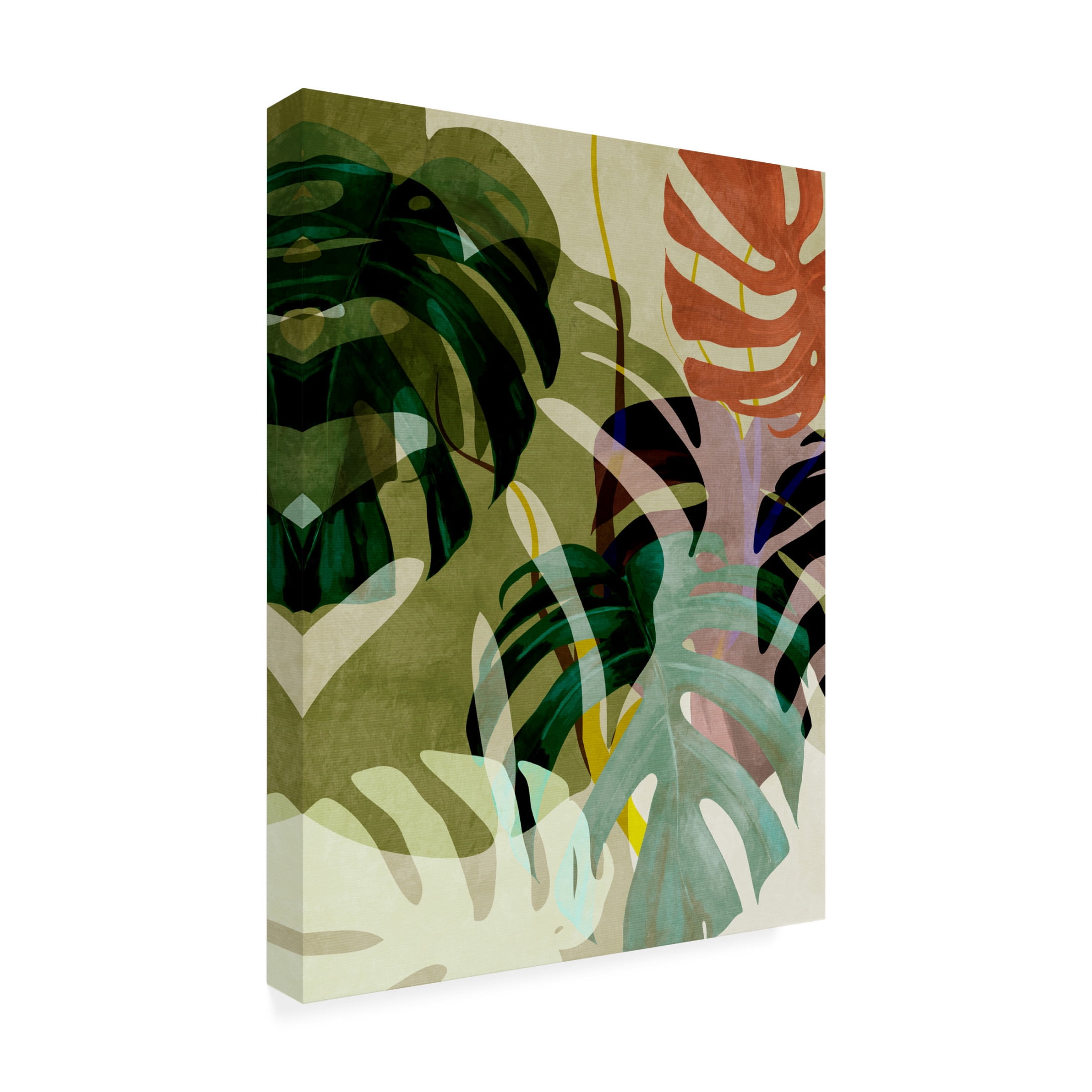 Trademark Fine Art Ana Rut Bre Leaves 29 Canvas Wall Art