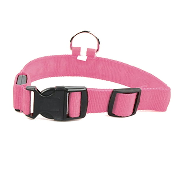 Dog collar rainbow 2025