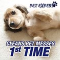 thumbnail image 5 of Resolve Ultra Foam Carpet Cleaner 623g (Pack of 2), 5 of 5