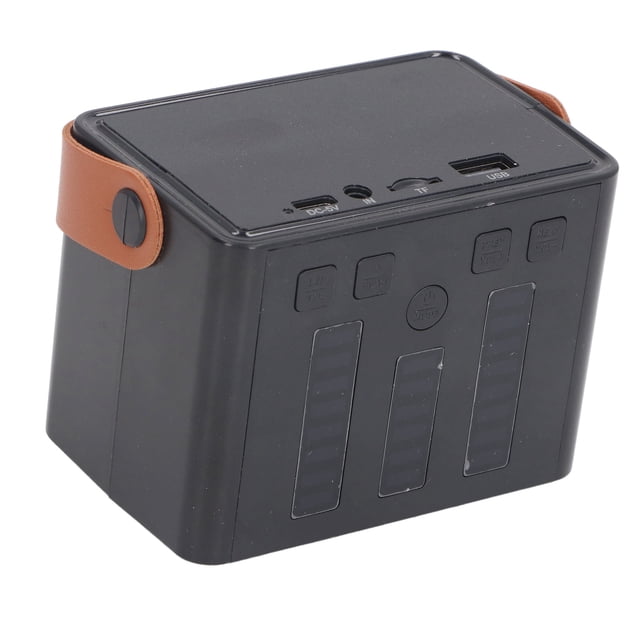 Ensemble de Micros Portables avec Lumières LED, Son Clair, pour Fêtes, Réunions de Famille Ou Activités Extérieures
