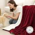 thumbnail image 4 of IR Imperial Rooms Sherpa Bed Blanket Soft Thick & Warm Fluffy Plush Winter Fleece Reversible Lightweight Throw (50x60) Burgundy, 4 of 8