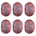 thumbnail image 4 of 6 PCS/ Set Tuning Pegs Machine Têtes Boutons Acryliques pour Guitare(5), 4 of 14