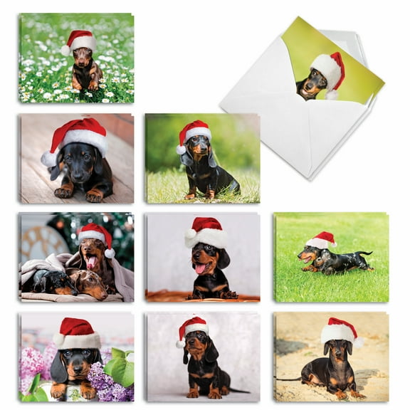 20 Merry Christmas Cards Assorted (10 Designs, 2 Each) - Dashing Dachshunds Merry Christmas (4" x 5.12") AM6829XSG-B2x10