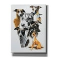 thumbnail image 1 of Epic Graffiti 'Italian Greyhound Medley' by Barbara Keith, Canvas Wall Art, 40"x54", 1 of 8