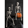 thumbnail image 5 of POSEABLE FULL LIFE HUMAN SKELETON HALLOWEEN HAUNTED HOUSE PARTY PROP-40CM C, 5 of 9