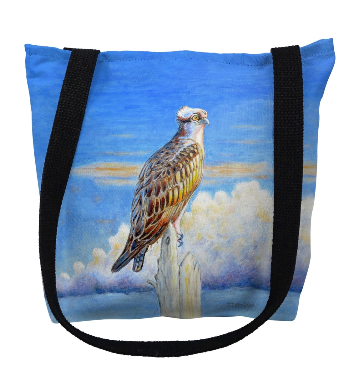 Osprey Storm Small Tote Bag 13x13 13 inches x 13 inches