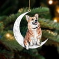 thumbnail image 1 of Perros Colgantes Colgantes Para Árboles De Navidad Decoraciones Para Perros Para Mascotas Colgantes Para Colgar En Ventanas O Puertas Advancent HA042685-09, 1 of 6