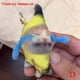 thumbnail image 1 of NUEVO llavero con colgante de peluche de gato banana, lindo gato llorando, divertido llavero con colgante, 1 of 6